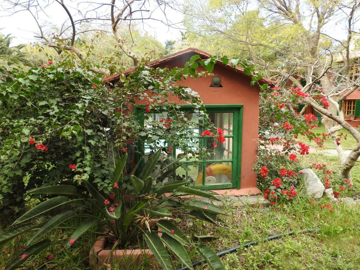 Willa La Casa Del Molino De Viento Agaete  Zewnętrze zdjęcie